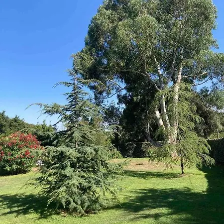 Location A Vecchio Apartment