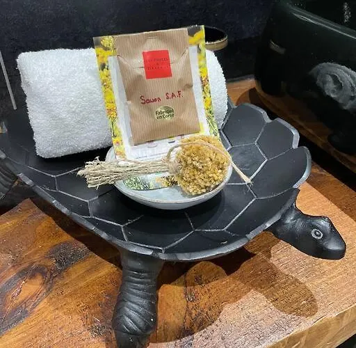 Location à Vecchio Porto-Vecchio (Corsica)