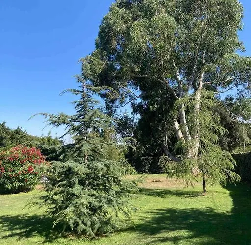 Location A Vecchio Appartement