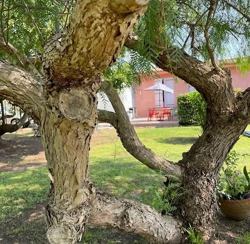 Location A Vecchio Appartement Porto-Vecchio (Corsica)