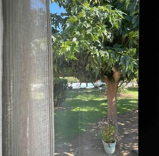 Location à Vecchio *